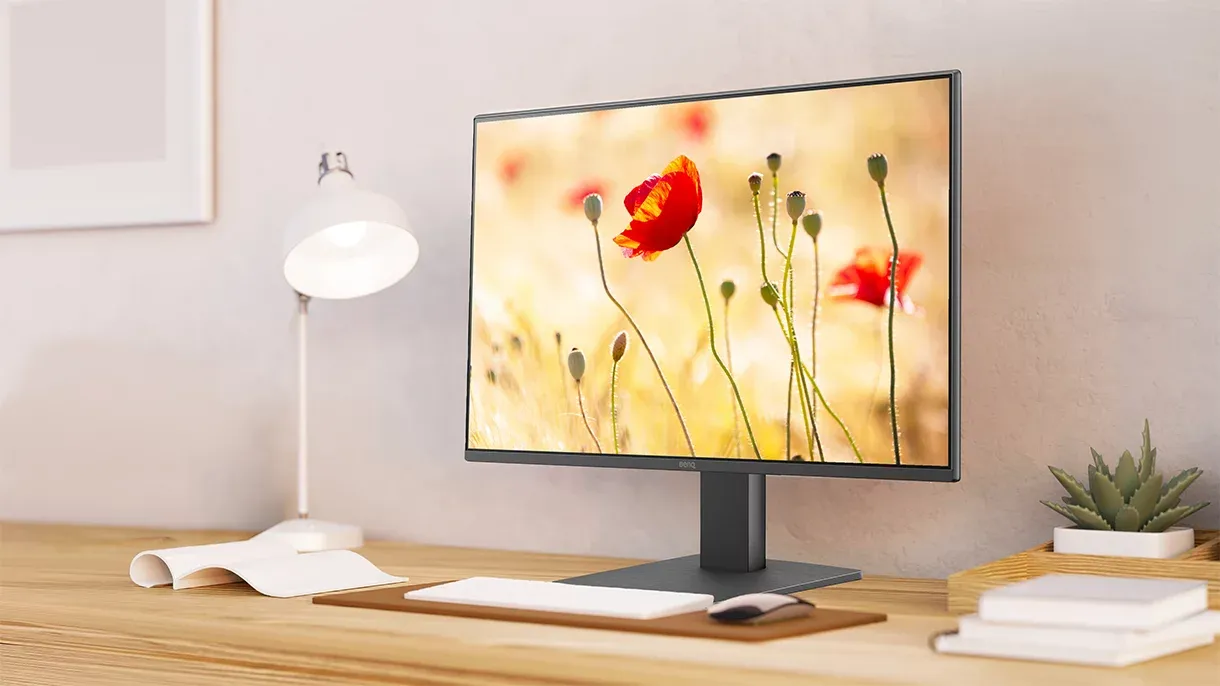BenQ GW2491 Monitor